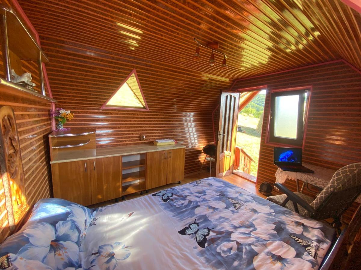 Vila Cabanuta Rustica 02 Banita Exteriér fotografie
